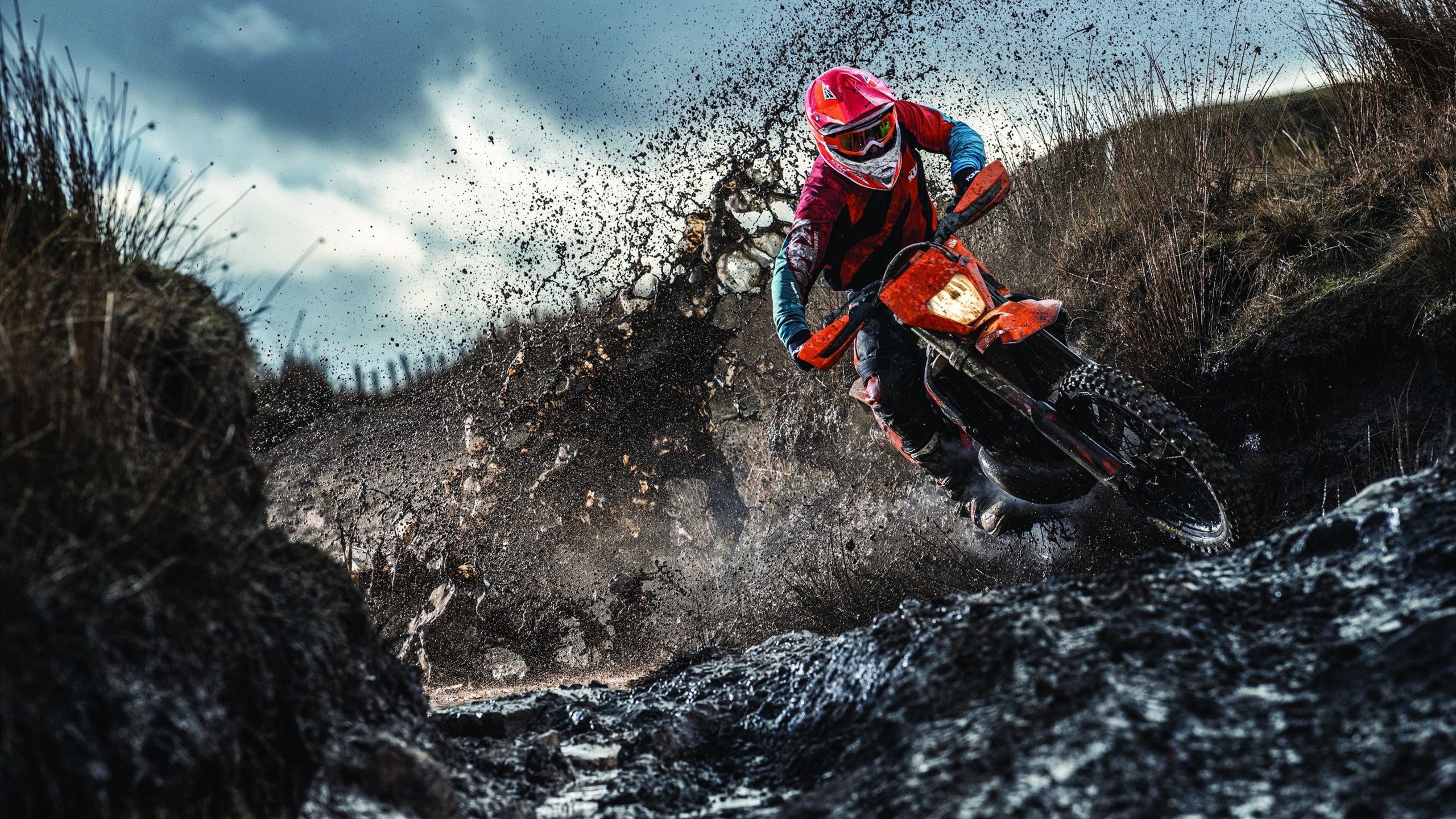 _快船团队配合默契，共创连胜_，快船队成员名单